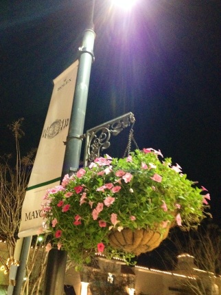 Nothing says southern tradition like hanging flower boxes (or baskets in this case). The Town Center successfully merged traditional and modern throughout its design.